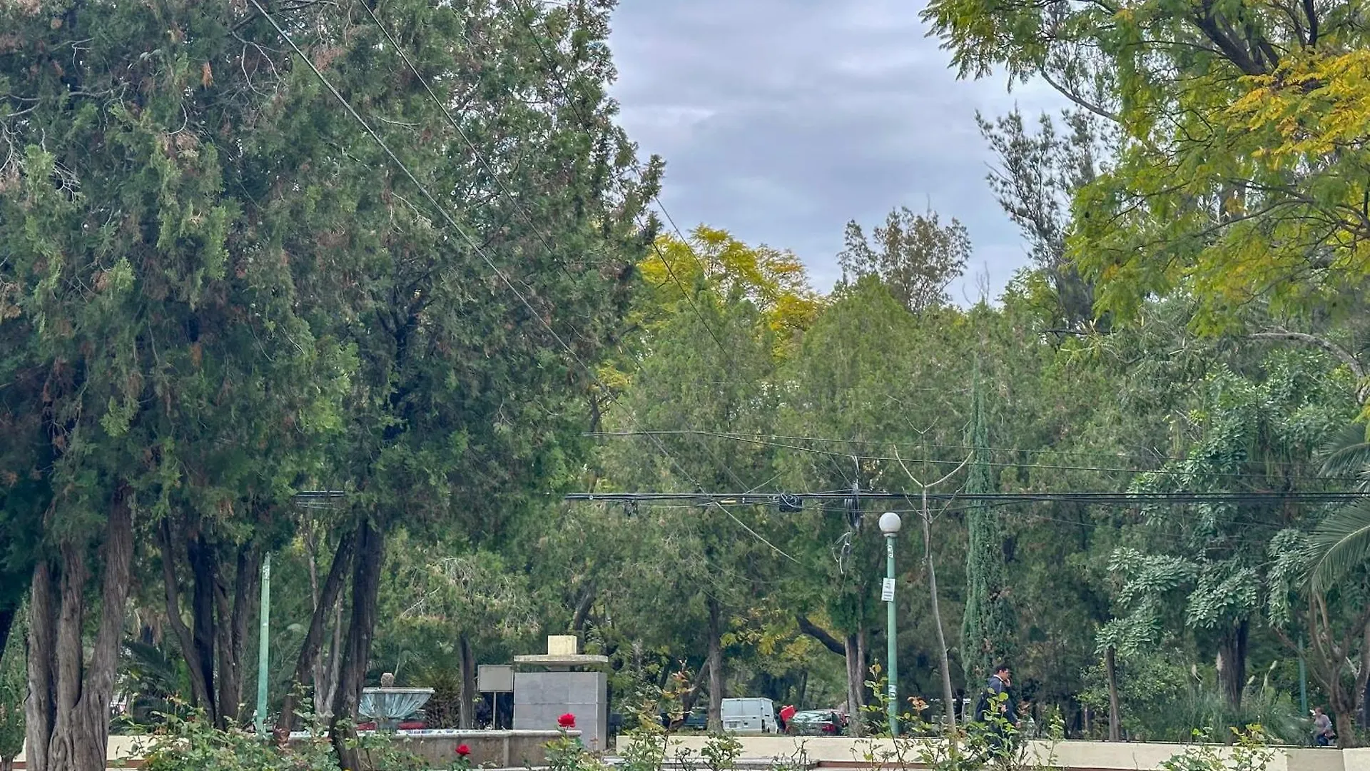 Estudio 4 / en Corazón de Chapalita Guadalajara